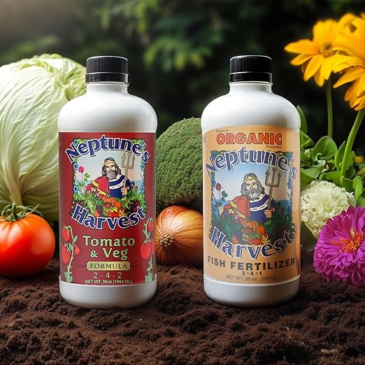 Neptune's Harvest Organic Plant Fertilizer | Liquid Fertilizer for Lawn Garden &amp Houseplant | Rich in Essential Nutrients | Hydrolyzed Fish 2-4-1 (Quart) + Tomato &amp Veg Plant Food 2-4-2 (Quar