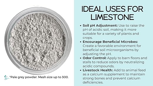 5 Pounds Calcium Carbonate Limestone Powder by The Seed Supply - Rock Dust - Great Soil Amendment and Fertilizer