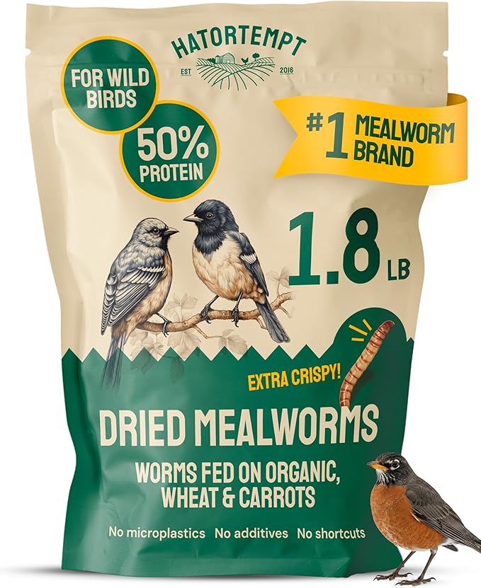 Hatortempt 1.8lb Dried Mealworms for Wild Birds - 50% Protein Meal Worms for Wild Birds - Attracts Bluebirds Starlings Wrens Woodpeckers Cardinals and Robins