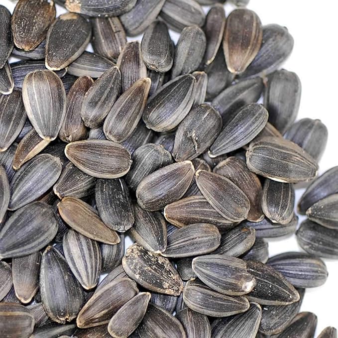 Whole Sunflower Sprouting Seeds: 5 Lb ~ 128000 Seeds - Black Oil Sun Flower Seeds (Shell On): Microgreens Sprouts Flower Gardening - Sun Flower