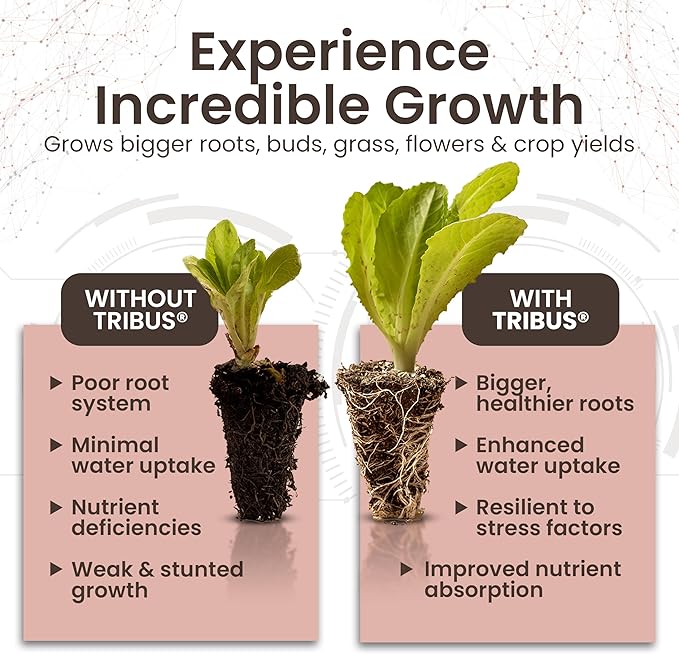 Tribus Organic Microbial Inoculant | Root Booster for Plants Increases Plant Yield Root Growth Flower &amp Fruit Quality | Visible Root Growth in 24Hrs | Pet &amp Planet-Safe | Made in The USA |