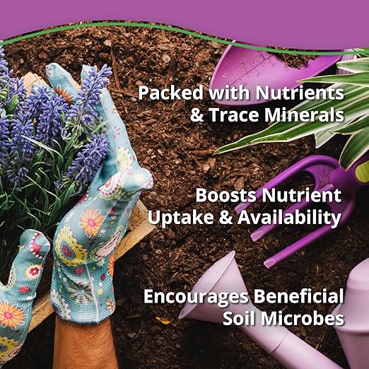 Kelp Bliss (10lbs) - Kelp Meal Organic Fertilizer for Plants Garden Soil Flowers Vegetables &amp Lawns - Organic Kelp Fertilizer &amp Soil Amendment - Natural Plant Food Rich in Vitamins &amp N