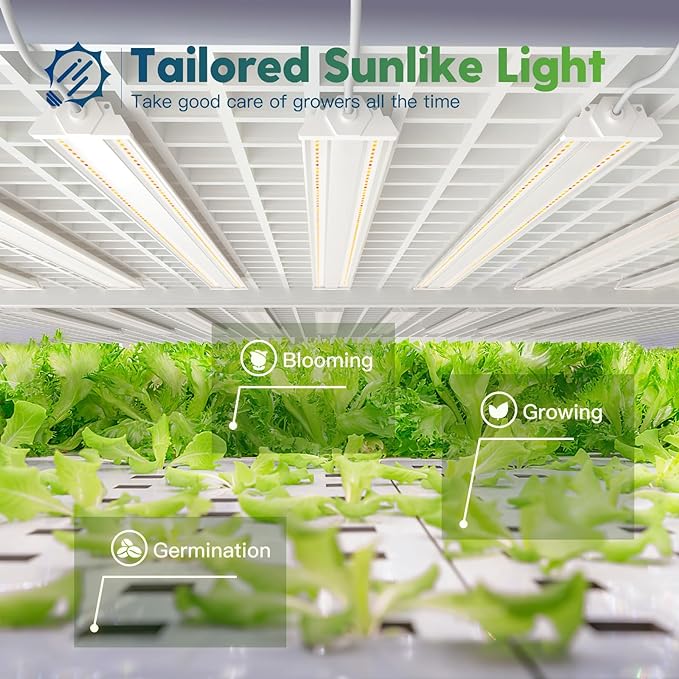 FREELICHT 5 Tier Plant Shelf with 4-Pack 2FT 30W LED Grow Lights with Timer+ 1 Pack 4FT 60W Grow Light Sunlike Full Spectrum Plant Light for Hydroponic Indoor Plant Seedling Veg and Flower