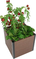 Wood Look Elevated Garden Bed for Patio Deep Root Planter Box with Durable Composite Material Space-Saving Outdoor Garden for Vegetables &amp Herbs Easy Assembly25 x 25x 23Without Bottom