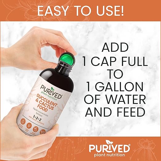 Purived 16oz Succulent &amp Cactus Liquid Fertilizer – Makes 50 Gallons Ideal for Aloe Jade Cacti &amp More All-Natural Groundwater Safe Made in USA