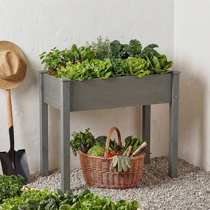 NEWBULIG Raised Garden Bed with Legs 34x18x30inElevated Wood Planter Box Stand for Outdoors Garden Balcony CourtyardNatural Wood 400 Pound Capacity for Planting Herbs Flowers VegetablesDark Grey