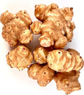 Jerusalem Artichoke Sunchokes Tubers Fresh Root Vegetable for Planting or Cooking Grown in Garden Container Hydroponic (16 oz)