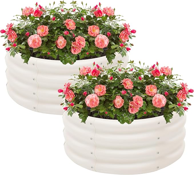 2-Pack 2x1ft Galvanized Raised Garden Bed Outdoor Planter Bed Metal Planter Box for Gardening and Planting