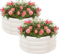 2-Pack 2x1ft Galvanized Raised Garden Bed Outdoor Planter Bed Metal Planter Box for Gardening and Planting