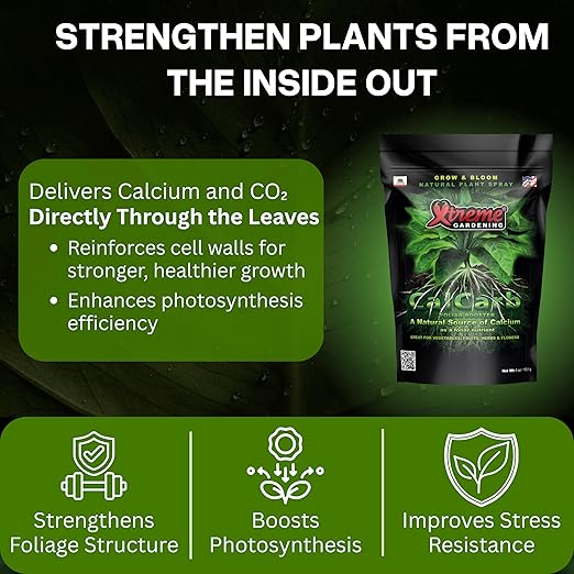 Xtreme Gardening CalCarb Calcium Foliar Spray — Supports Photosynthesis Stress Resistance &amp Prevents Blossom End Rot — for Indoor &amp Outdoor Plants 6 oz