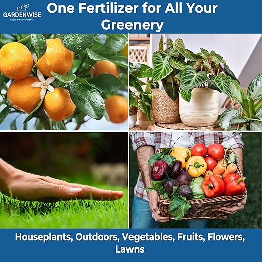 20-20-20 Water-Soluble Fertilizer – Powder for Liquid Plant Food for Indoor &amp Outdoor Plants Orchids Vegetables Lawns Flowers – 20 20 20 Fertilizer 1 Quart (2 lbs)
