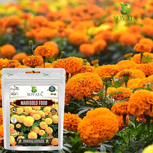 Sovata® Marigold Food Powerful Organic Fertilizer for Heavy Flowering and Fast Growth of Marigold Plants. (900 gm)