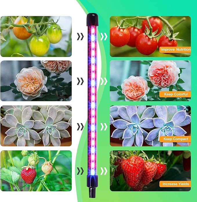 Max Water Grow Lights | Color Changing Lights | Dimmable Clamp | ‎Adjustable Red Blue Purple Color Lights | Lights for Indoor Plants| Harvest Seedling Light | Adjustable Gooseneck Light