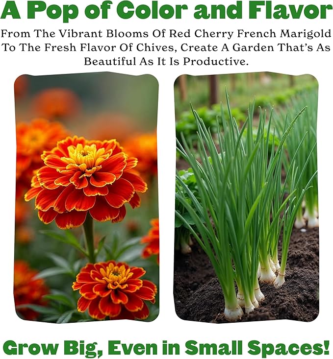 Epic Gardening Beginner Patio Garden Seed Kit - 7 Compact Varieties for Small Spaces Includes Peppers Beans Tomatoes &amp Flowers Non-GMO Seeds for Urban Gardening in Containers or Balconies