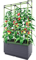 BioGreen Raised Garden Bed with Trellis CITY JUNGLE | 8.98 gal | 13“L x 24“W x 63.4“H | Integrated Irrigation System | Grey Self-Watering Planter Box