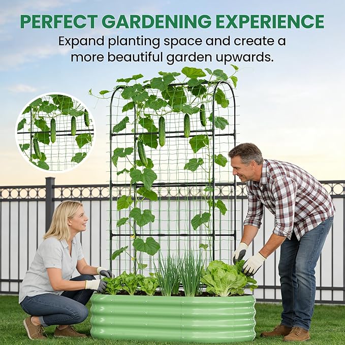 SUNYRISY 2Pack Galvanized Raised Garden Bed with 71in Arch Trellis for Climbing Plants Outdoor Planter Box with Climbing Net for Gardening Flowers Vegetables Fruits Herbs Green
