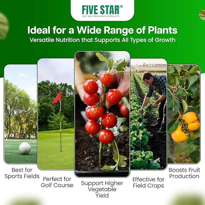 Five Star Turf Liquid Potassium Fertilizer 0-0-25 KTS for Stress Tolerance Foliar &amp Root Uptake - No Chlorides Low Salt Index with Fast-Acting Potassium for Turf Lawns &amp Sports Fields - 2.5