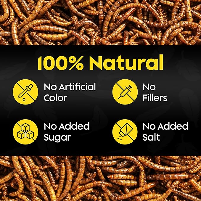 Dried Mealworms for Wild Birds - Crunchy Meal Worms for Wild Birds - High Protein Dried Mealworms for Bluebirds Cardinals &amp Woodpeckers - Premium Backyard Bird Treat - All Natural Bird Food (5lbs