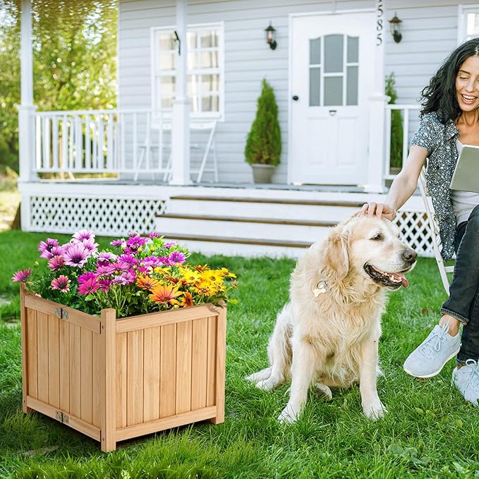 LDAILY Foldable Raised Garden Bed Easy Assembly Raised Bed with Bottom &amp Drainage Hole Wood Planter Box for Flowers/Vegetables/Fruits in Backyard Patio (15 L x 15 W x 14 H)