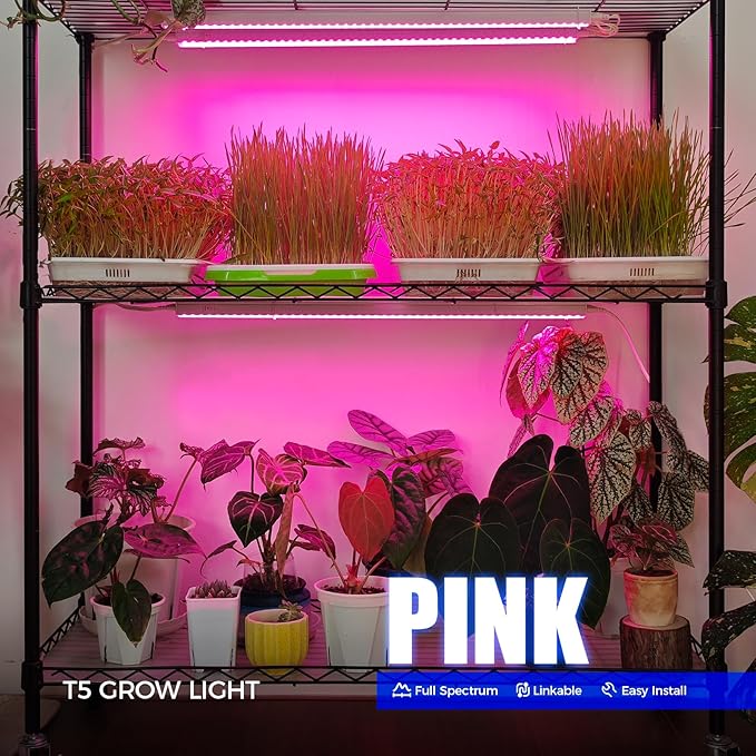 Barrina T5 Grow Lights Full Spectrum 2ft 80W (8 x 10W 500W Equivalent) T5 LED Grow Light Bulbs Plant Lights for Indoor Plants Greenhouse Plug and Play Pink 8-Pack