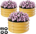 Round Galvanized Raised Garden Bed Kit 3 Pcs 2 x 2 x 1ft Autumn Gold Galvanized Garden Boxes Outdoor for Vegetables