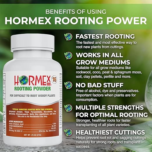 Hormex Rooting Powder #16 &amp Vitamin B1 Hormone Concentrate Combo - Root Stimulator for Hardwood Cuttings &amp Liquid - Perfect for Hydroponics House Plants Gardens Fruits &amp Vegetables 21g