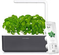 Click &amp Grow Indoor Herb Garden Kit with Grow Light | Smart Garden for Home Kitchen Windowsill | Easier Than Hydroponics Growing System | Vegetable Gardening Starter (3 Basil Pods Included) Grey