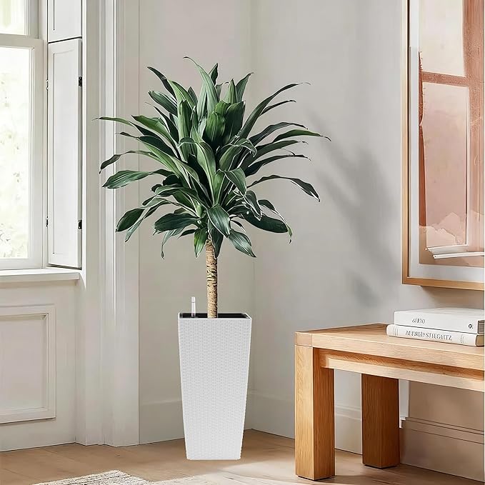 Square Planter for Indoor or Outdoor Use 22 Inch High Faux Rattan Flower Pot with Automatic Watering System for Porch Patio Backyard Makes Keeping Flowers Easier (Pack of 2 White)