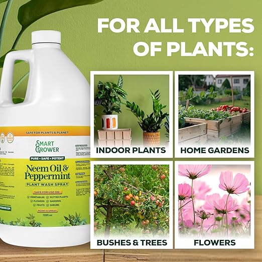 Neem Oil Spray for Plants with Peppermint Oil Natural Plant Wash Made for Indoor and Outdoor Plants Smart Grower 128oz Gallon Refill Ready to Use Spray