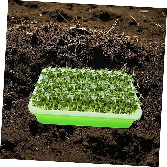 Seed Sprouter Tray for Sprouts Sprouting Tray Liner Sprouts Growing Kit Mason Jar Sprouting Kit Plant Growth Plate Rapid Growth Soilless Cultivation
