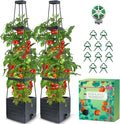 2-Pack Tomato Planter with Trellis 57 Self-Watering Raised Garden Bed Planter Box Tomato Cages for Indoor &amp Outdoor Climbing Plants Vines Vegetables and Flowers (57x9.8x9.8IN)