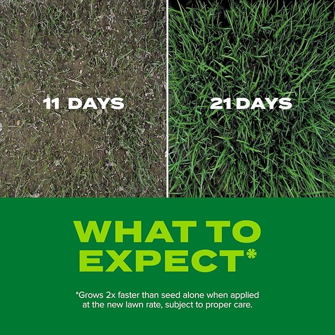 Scotts Turf Builder Rapid Grass Tall Fescue Mix - Combination Grass Seed and Fertilizer for Lawns Lawn Seed that Grows in Just Weeks 5.6 lbs. (Pack of 4)
