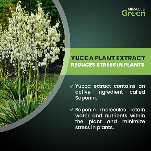 Miracle Green Fast-Acting Liquid Plant Food - Special Formula with Tree Sap &amp Yucca Plant Extract - All-Purpose Fertilizer for Houseplants Flowers Fruits Vegetables &amp Trees (16 oz)
