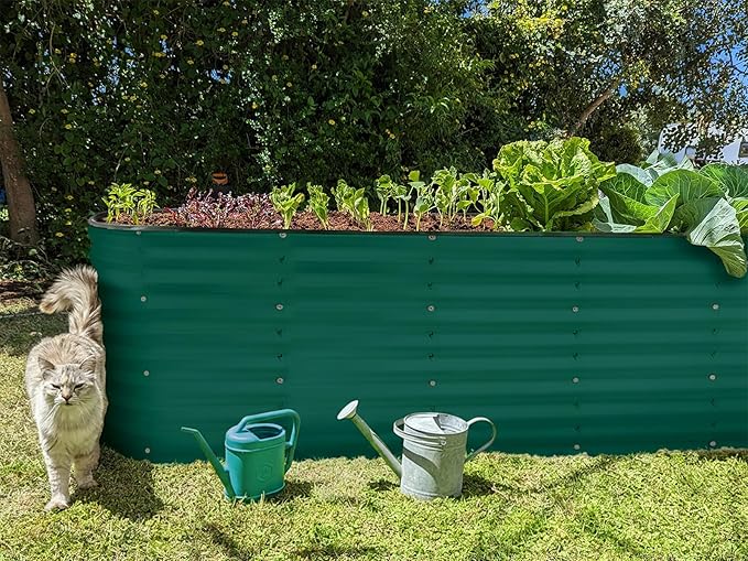 Plant &amp Plot Galvanized Raised Garden Beds Outdoor // 8×2×2 ft Planter Raised Beds for Gardening Vegetables Flowers // Large Metal Garden Box (Dark Green) // Patented Tool-Free Design