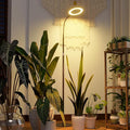 Bamworld Grow Lights for Indoor Plants Full Spectrum Plant Lights for Indoor Growing Floor Grow Lamp for Large Plants Auto ON/Off Timer 3/9/12H 10 Dimmable Levels 37-65 Adjustable Height