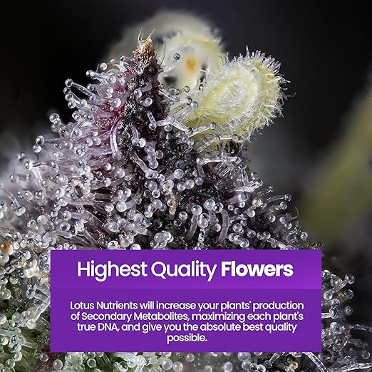 Lotus Nutrients Intro Pack - 4-Part Sample Kit with Grow Bloom Boost &amp Cal/Mag - Powdered Plant Nutrients for Hydroponics Coco Coir &amp Soil - Trial Size for Indoor &amp Outdoor Growers