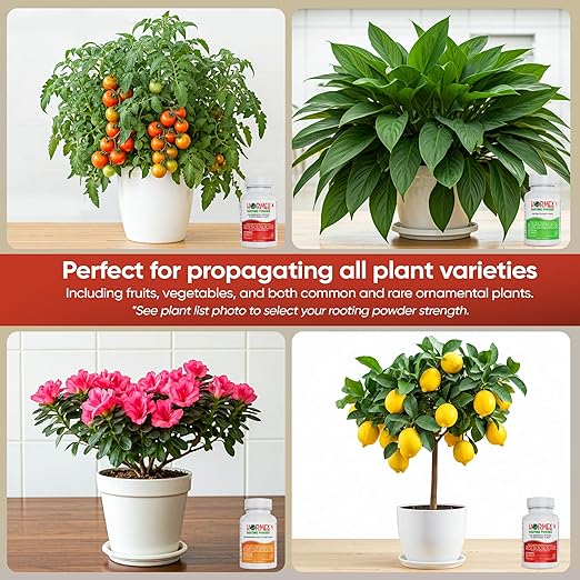 Hormex Rooting Powder Combo #1 3 8 (0.10-0.8 IBA) for Delicate and Common Houseplants to Semi-Hardwood - Root Powder Root Stimulator for Plants Rooting Hormone for Cuttings Cloning &amp Propagat