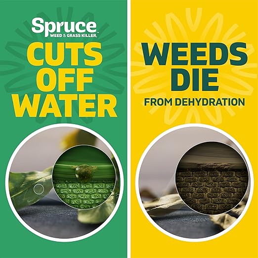 Spruce Weed Killer Refill - Versatile Weed &amp Grass Killer₂ for Flower Beds Driveways &amp Mulch Beds - No Pour No Mix No Mess Refill - Kills Dandelions Crabgrass &amp More (64 Oz)