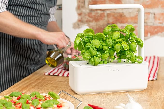 Click &amp Grow Indoor Herb Garden Kit with Grow Light | Smart Garden for Home Kitchen Windowsill | Easier Than Hydroponics Growing System | Vegetable Gardening Starter (3 Basil Pods Included) White