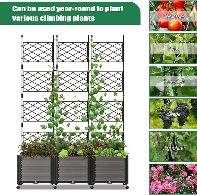 SUNYRISY Planter Box Privacy Screen with Wheels and Trellis Tomato Planter Boxes Vertical Garden Box for Climbing Vegetables and Flowers Raised Garden Bed for Indoor/Outdoor