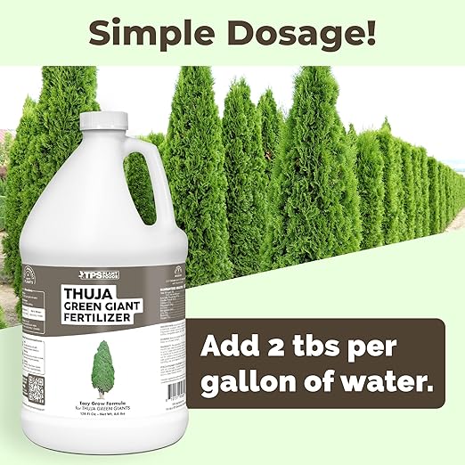 Thuja Green Giant Fertilizer – Liquid Plant Food for Faster Growth Fuller Green Foliage &amp Stronger Roots 1 Gallon
