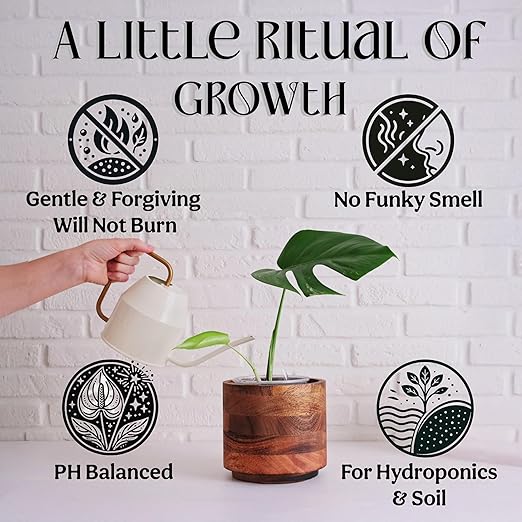 Organic Liquid Indoor Plant Food Houseplant Tropical &amp All-Purpose Indoor Plant Fertilizer Organic Liquid Fertilizer 5-5-5 with Sea Kelp 12oz Treats 75 Gallons