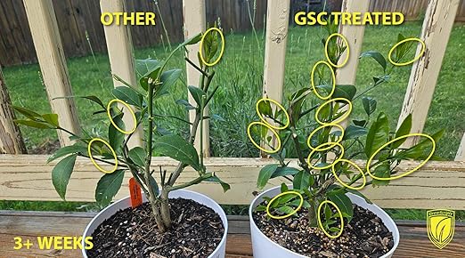 Citrus Tree Fertilizer Kit - Complete 3-in-1 Plant Food with NPK Granules Liquid Micronutrients &amp Calcium for Container Lemon Orange Lime Trees 3-Month Supply for Indoor Outdoor Citrus Plants