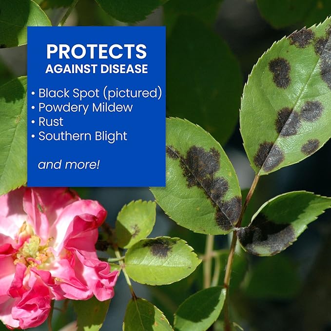 BioAdvanced All-In-One Rose and Flower Care I Granules 4 lb