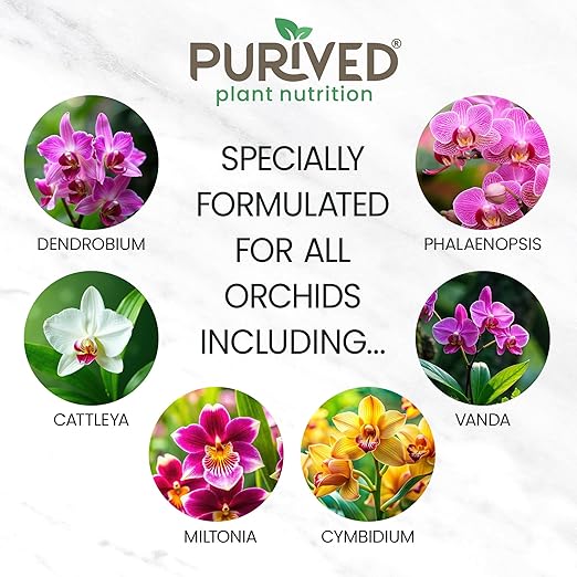 Purived 16oz Orchid Liquid Fertilizer - Makes 50 Gallons Boosts Blooms &amp Root Strength Ideal for Phalaenopsis Dendrobium &amp More Supports Vibrant Long-Lasting Flowers Made in USA
