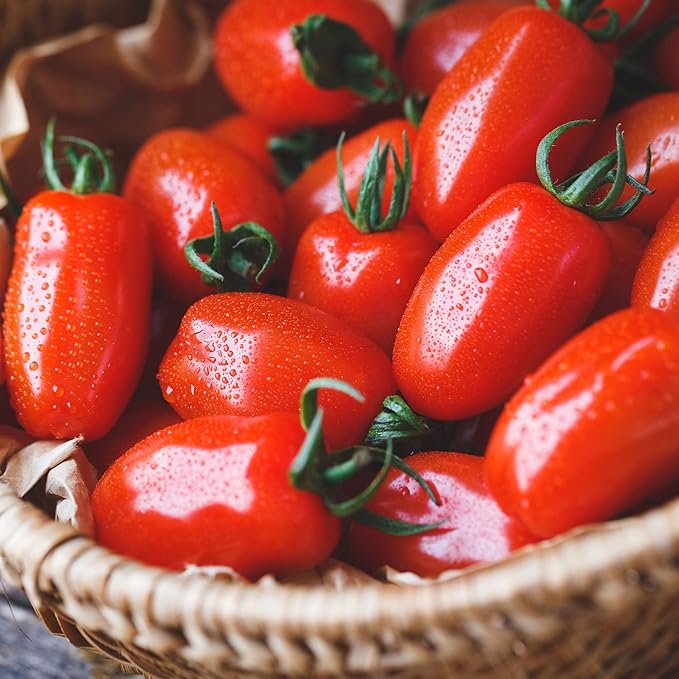 Tomato Seeds - San Marzano (Indeterminate) - 1 Oz ~7500 Seeds - Solanum lycopersicum - Farm &amp Garden Vegetable Seeds - Non-GMO Heirloom Open Pollinated Annual