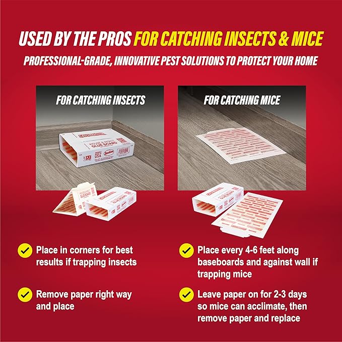 Catchmaster Extra Sticky Insect &amp Mouse Traps 60-Count 5.3x8 Glue Boards for Mice &amp Insects Ultra Sticky Rat &amp MouseTraps Indoor for Home Use in Garages Basements &amp Attics Pest C