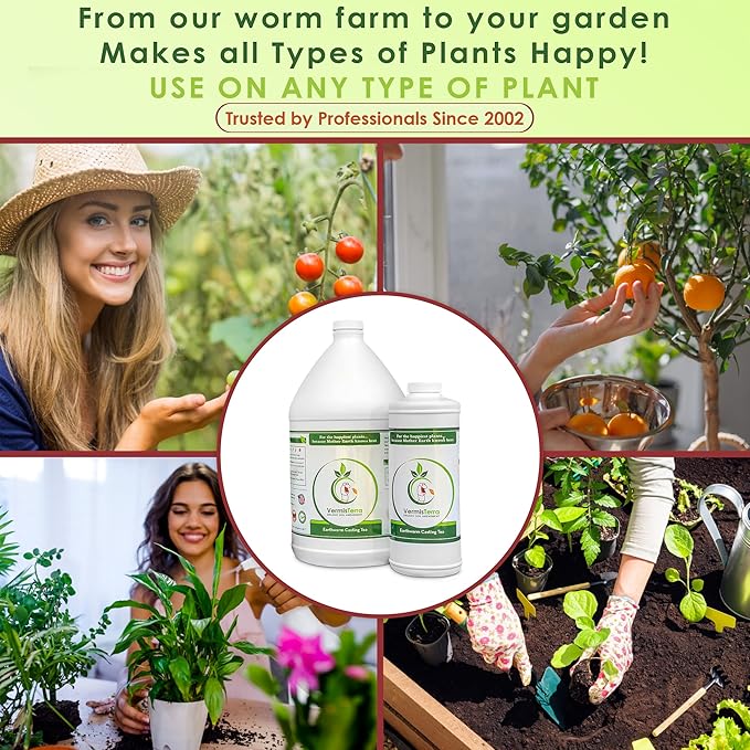 VermisTerra Earthworm Casting Tea - Organic Worm Tea with Kelp - Gallon - Soil Protector and Conditioner Concentrate - Living Enzymes Nourish Plants - All Crops: Vegetables Flowers Fruit and Trees