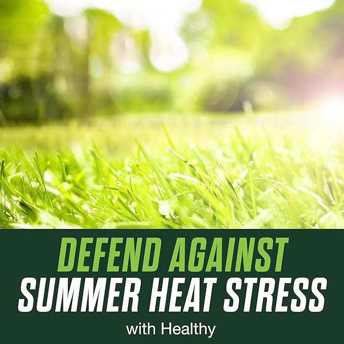 Scotts Turf Builder Healthy Plus Lawn Food 2-in-1 Fungicide and Fertilizer Helps Grass Withstand Summer Stress 4000 sq. ft. 13.70 lbs. (Pack of 2)