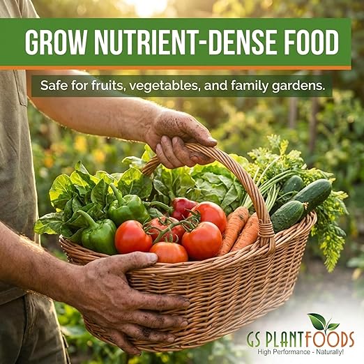 GS Plant Foods Root Ruckus Compost Fertilizer Organic Plant Food - Turbo Charged Compost for Plants - Humic Acid &amp Sea Kelp Nutritional Root Supplement for Lawns Soil Shrubs &amp Vegetables - 1